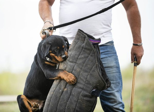 Réunion de chantier : la sécurité digitale à votre service